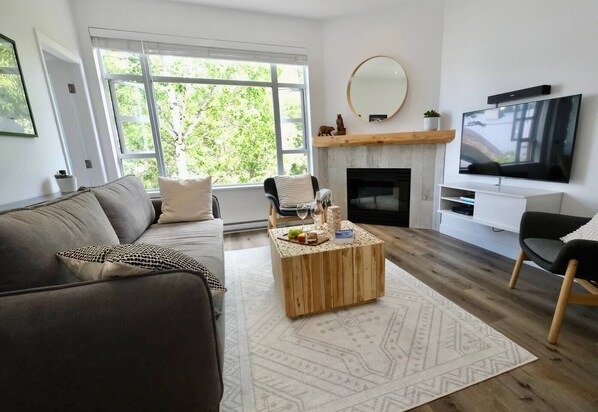 Smart TV, fireplace, computer monitors