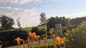 A rural landscape with a small building, possibly a barn, surrounded by greenery and flowering plants. - Gemütliche Ferienwohnung im Bergischen - Nähe Köln/bonn Haustierfreundlich! (Much)