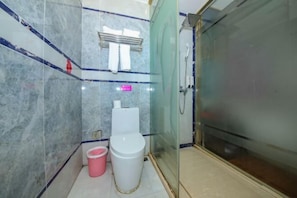 A bathroom with a toilet, a shower, and a glass-enclosed shower stall.