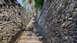 A stone staircase leading up a hill, surrounded by rocky walls and vegetation. - 1 bedroom lovely home in Pieve Ligure (Pieve Ligure)