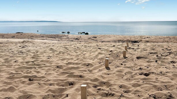 A sandy beach with wooden posts, calm water, and a clear sky. - 3 bedroom gorgeous home in Halmstad (Halmstad)