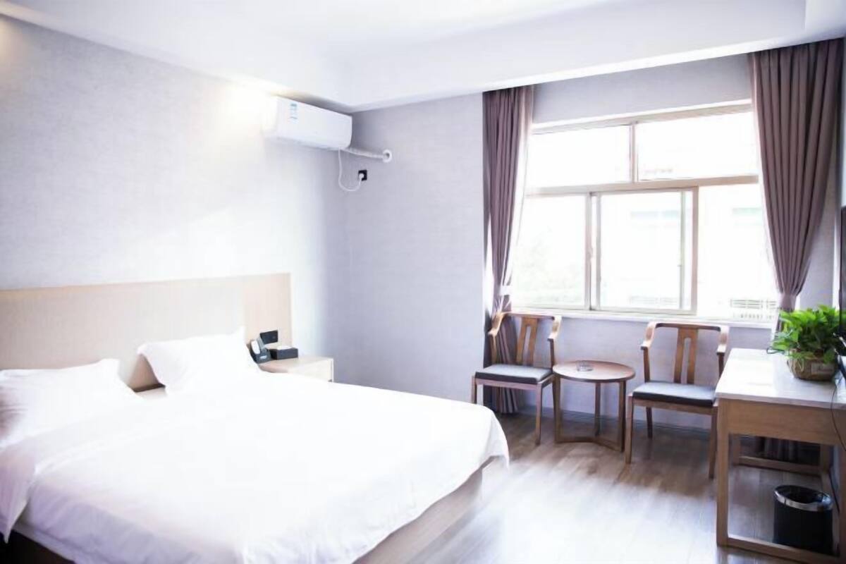 A hotel room with a bed, bedside table, lamp, two chairs, a small table, a potted plant, and a window with curtains.