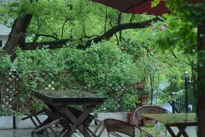 An outdoor seating area with a table and chairs, surrounded by lush greenery and a tree.