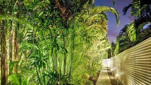 A pathway lined with lush tropical plants and a lighted fence on one side. - La Bougainvillea: 3BR, 2BA Home - Heated Pool (Fort Lauderdale)