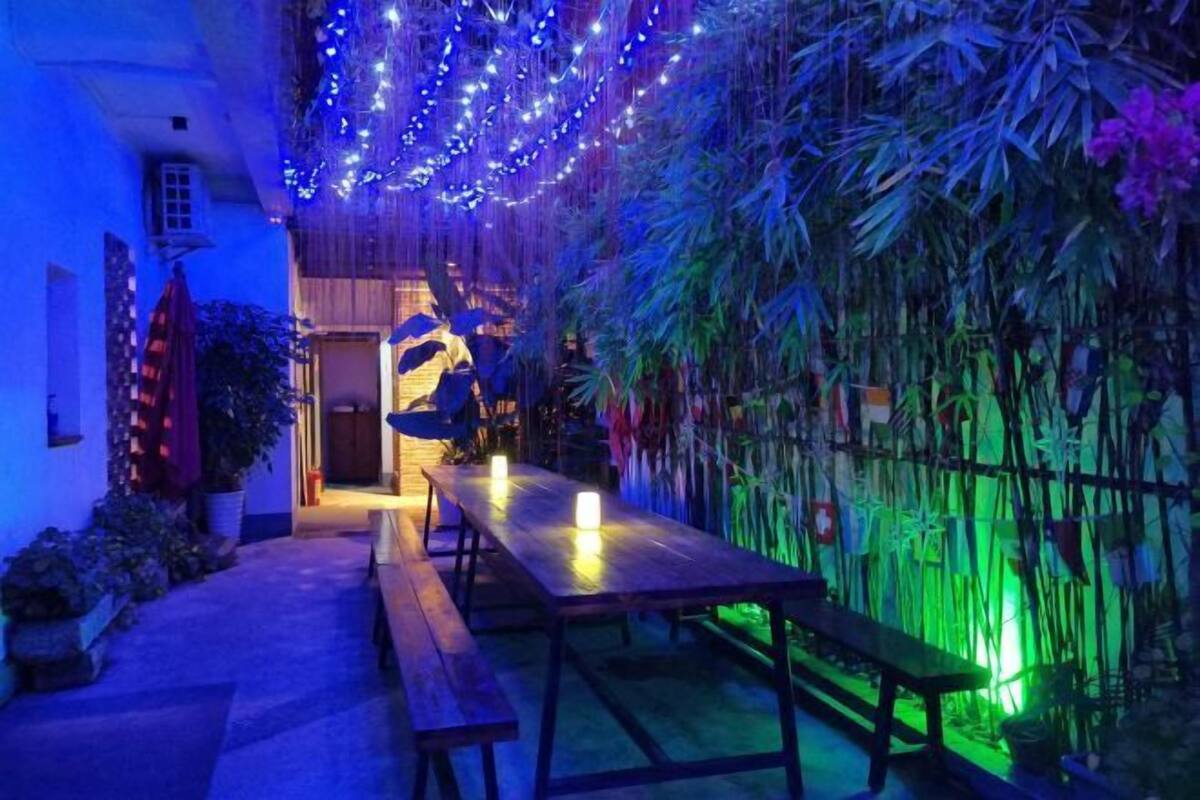 An outdoor dining area with tables and benches, surrounded by plants and bamboo.