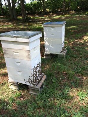 Áreas de la propiedad