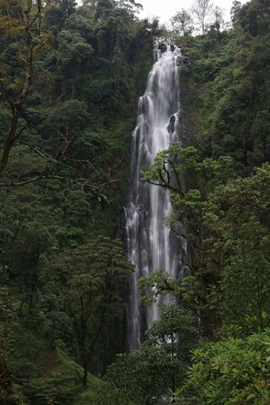Pool waterfall - jacaranda homestay (Moshi)
