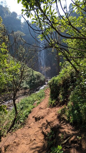 Pool waterfall - jacaranda homestay (Moshi)