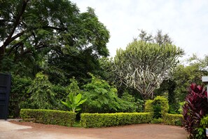 Exterior - jacaranda homestay (Moshi)