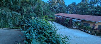 jacaranda homestay