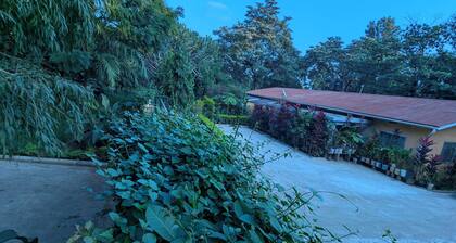 jacaranda homestay