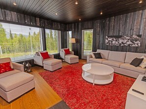 TV, DVD player, offices