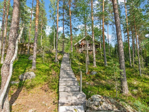 En trætrap der fører op til en hytte i et skovområde.
