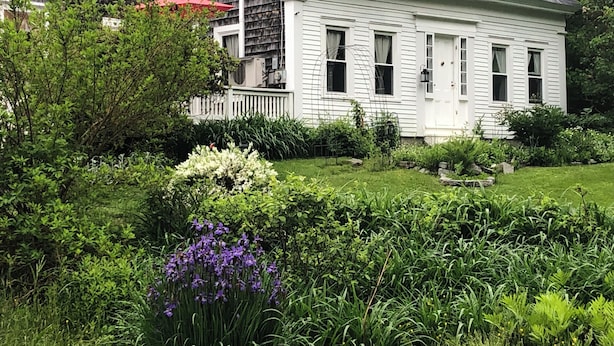 Ein weißes Haus mit dunklem Dach, umgeben von üppigem Grün und violetten Blumen.