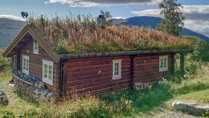 A wooden cabin with a thatched roof, surrounded by wildflowers and vegetation, with a mountain in the background. - 2 bedroom lovely home in Oppdal (Oppdal)