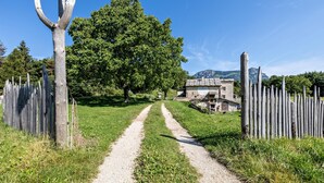 A rural path leading to a stone building with a metal roof, surrounded by wooden fences and a large tree.