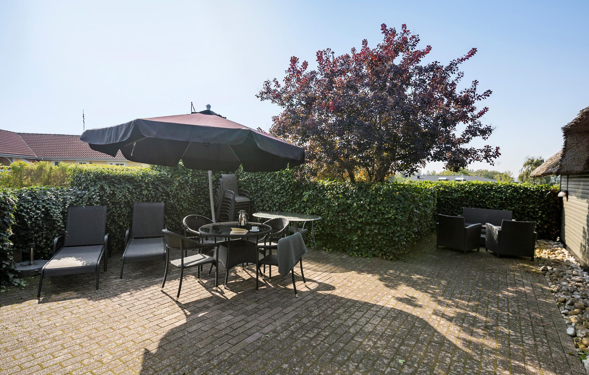 An outdoor patio with a table and chairs under a large umbrella, surrounded by hedges and a tree with red leaves.