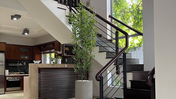 A modern kitchen with a central island, a staircase with a black railing, and a large potted plant.