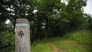 Un segnale di pietra con una freccia che indica un sentiero in una zona boschiva.