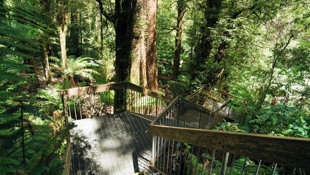 A wooden staircase leading up to a metal platform in a forested area.