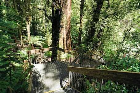 Property grounds. Tiny Home in Warburton Victoria by Tiny Away