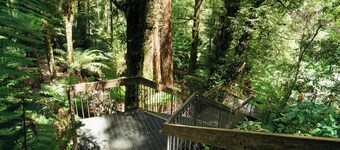 Tiny Home in Warburton Victoria by Tiny Away