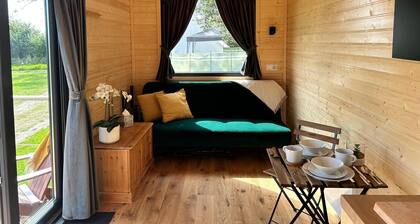 Dandylion House by Tiny Away