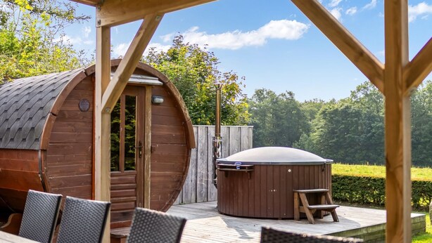 Een houten chalet met een gebogen dak, een jacuzzi en een terras met buitenmeubels.