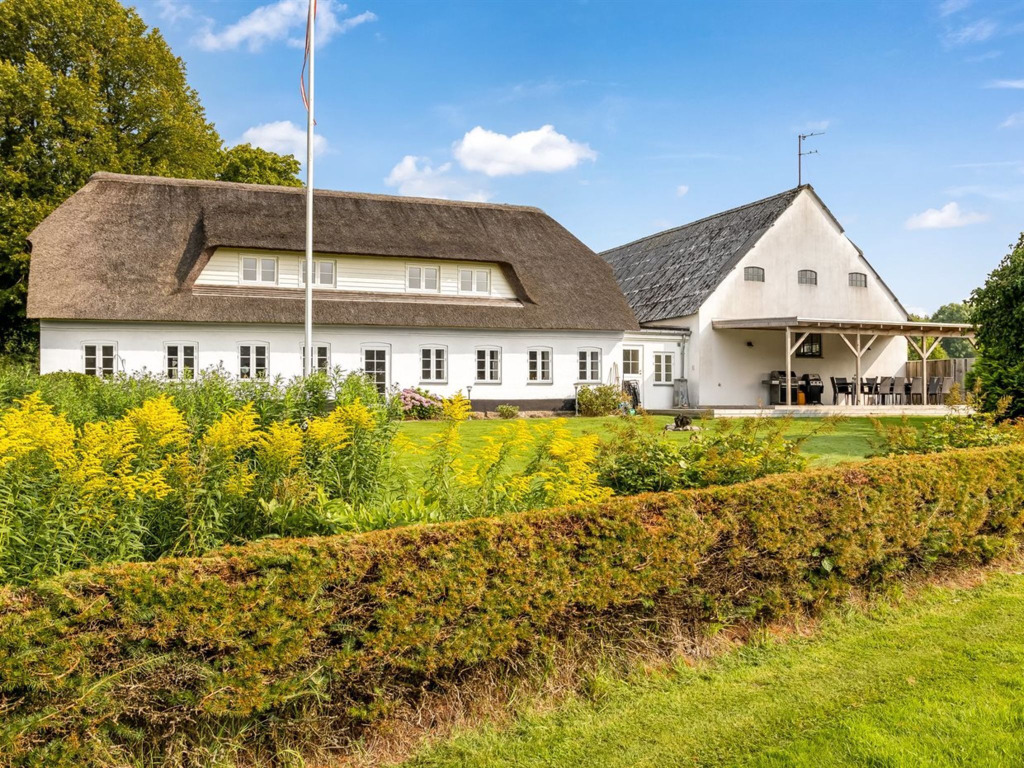 Eksteriør