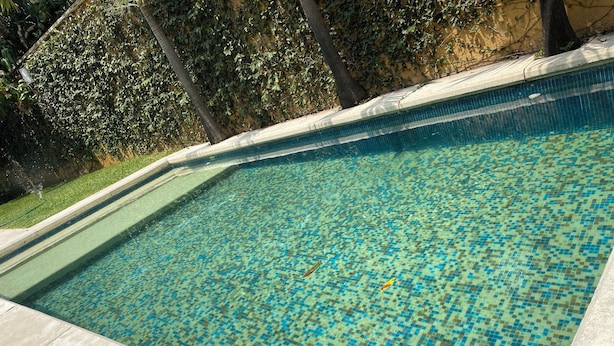Piscina retangular com chão em azulejo, rodeada por um deck de concreto e uma área gramada com árvores.