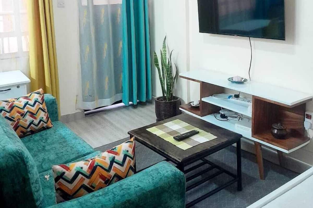 Un salon avec un canapé, une table basse, un téléviseur et des rideaux.