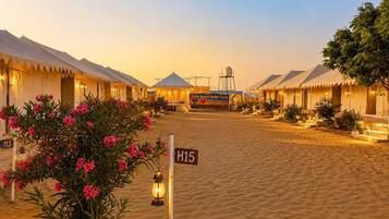 A desert camp with tents, a sign for 'Bobbi Desert Safari Camp,' and a clear sky.