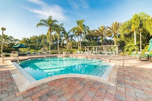 A swimming pool with lounge chairs and umbrellas, surrounded by palm trees.
