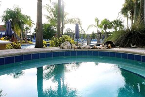 Pool - Family Oasis, Cozy Retreat With Bunk Room (Kissimmee)