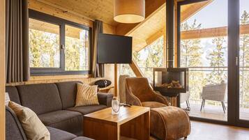 Televisión, chimenea