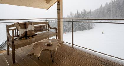 Joli chalet avec sauna