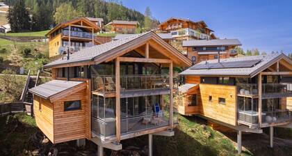 Cosy chalet with sauna