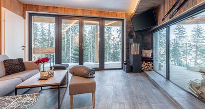Wohnung in der Nähe des Skigebiets