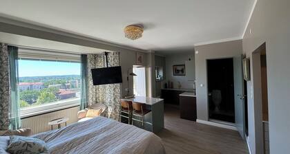 Stylish studio apartment with a view