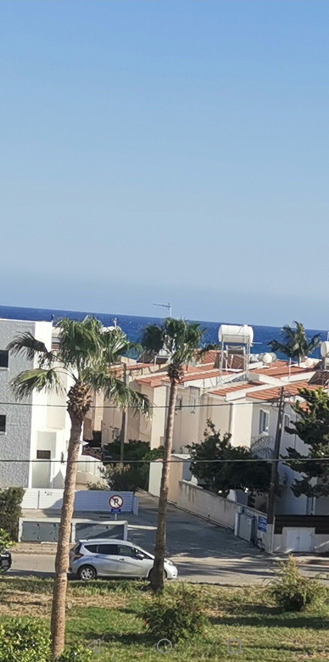 A residential area with a clear view of the sea, palm trees, and a parked car.