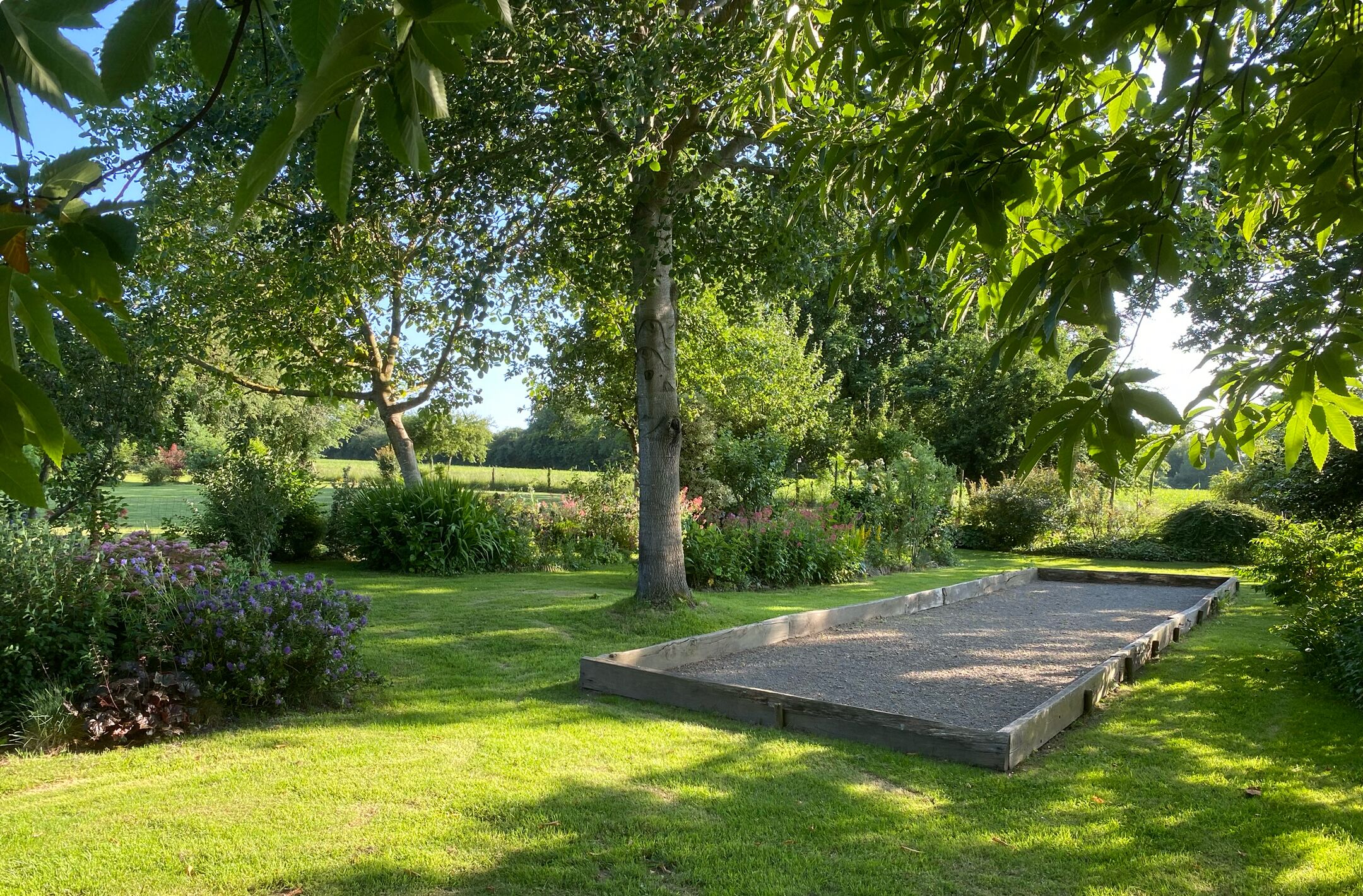 A garden with a raised garden bed, lush greenery, and a large tree providing shade.