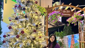 Un albero di Natale decorato con ornamenti e luci, una persona in piedi accanto e un cartello con su scritto "Gis Biën Homestay".