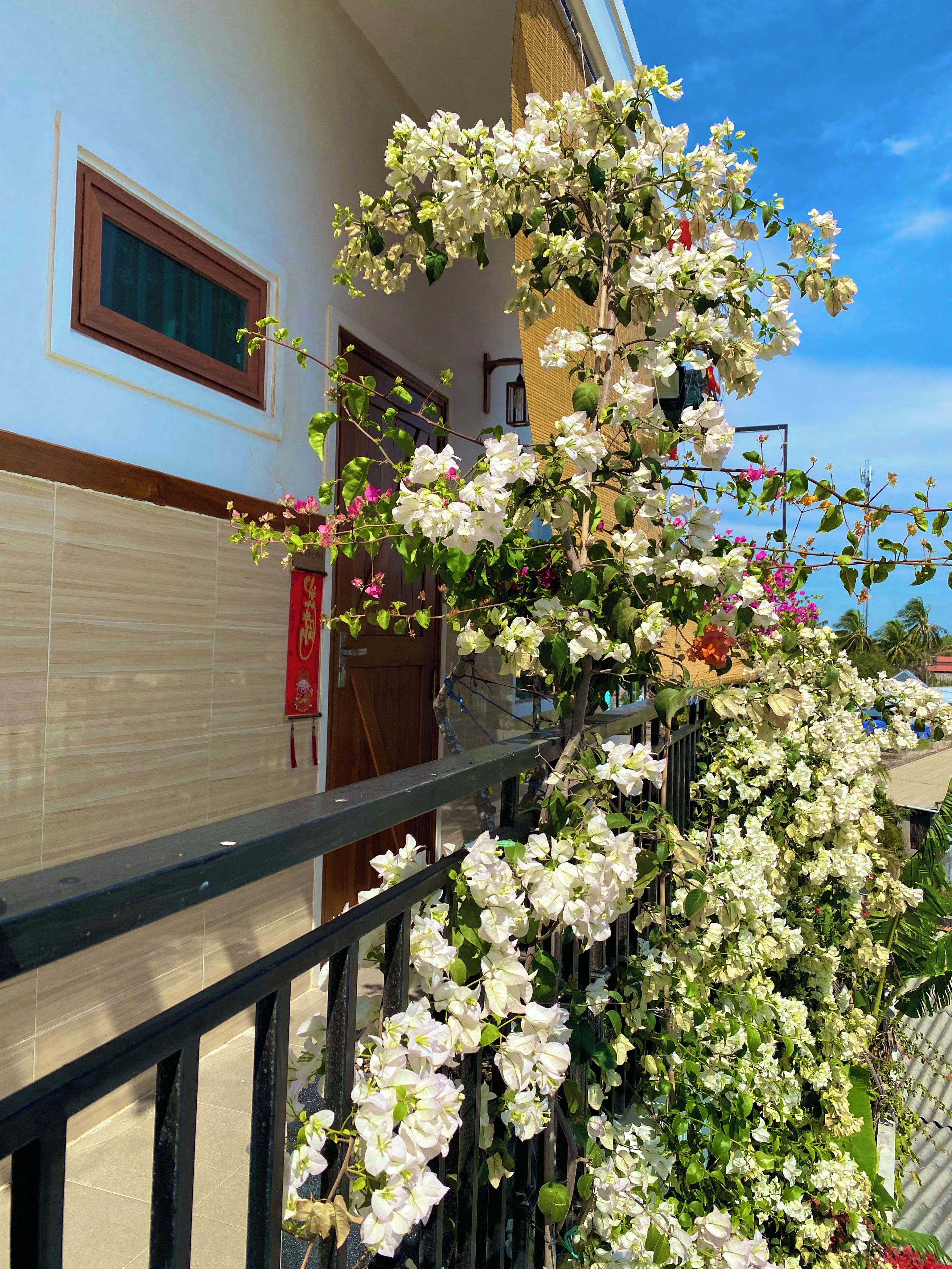 Un bâtiment doté d’un balcon orné de fleurs blanches et d’une porte en bois.