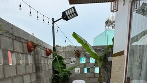   미분류 이미지, 5/159장, 버튼