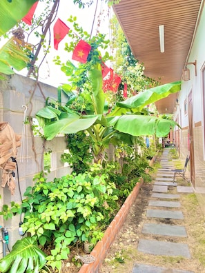 A narrow pathway flanked by lush greenery and a brick wall, leading to a building with a tiled exterior. - Sea-breeze homestay (Phu Thuy)
