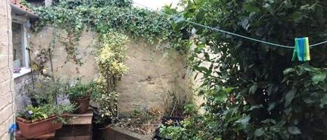 House | Property grounds