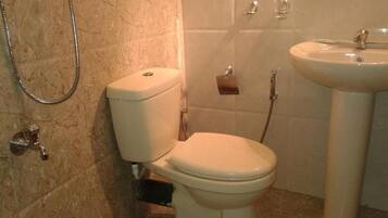 Douche, serviettes fournies, papier toilette