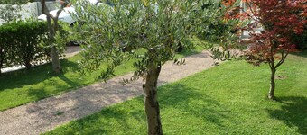 Villa Green Harmony - Ideal Solution to stay near Verona and Garda Lake