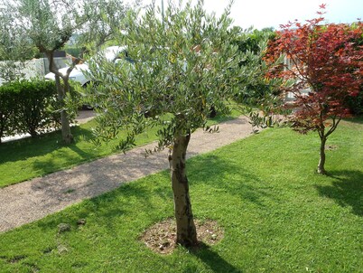 Villa Green Harmony - Ideal Solution to stay near Verona and Garda Lake