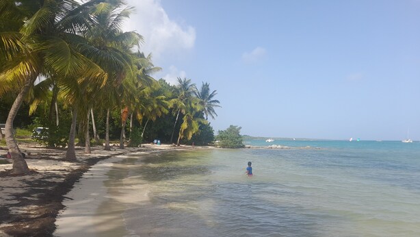 A beach with palm trees, clear water, and boats in the distance. - Villabadlou Ti-Cocon (Goyave)